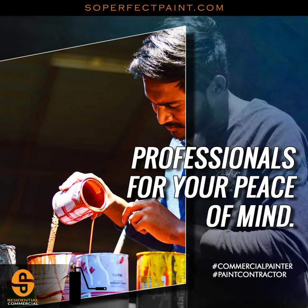 Advertising and Social Media by Southern Perfection Painting Inc. - Photo 107