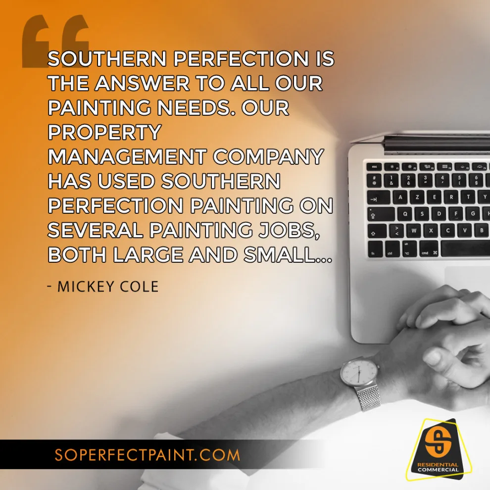 Advertising and Social Media by Southern Perfection Painting Inc. - Photo 126
