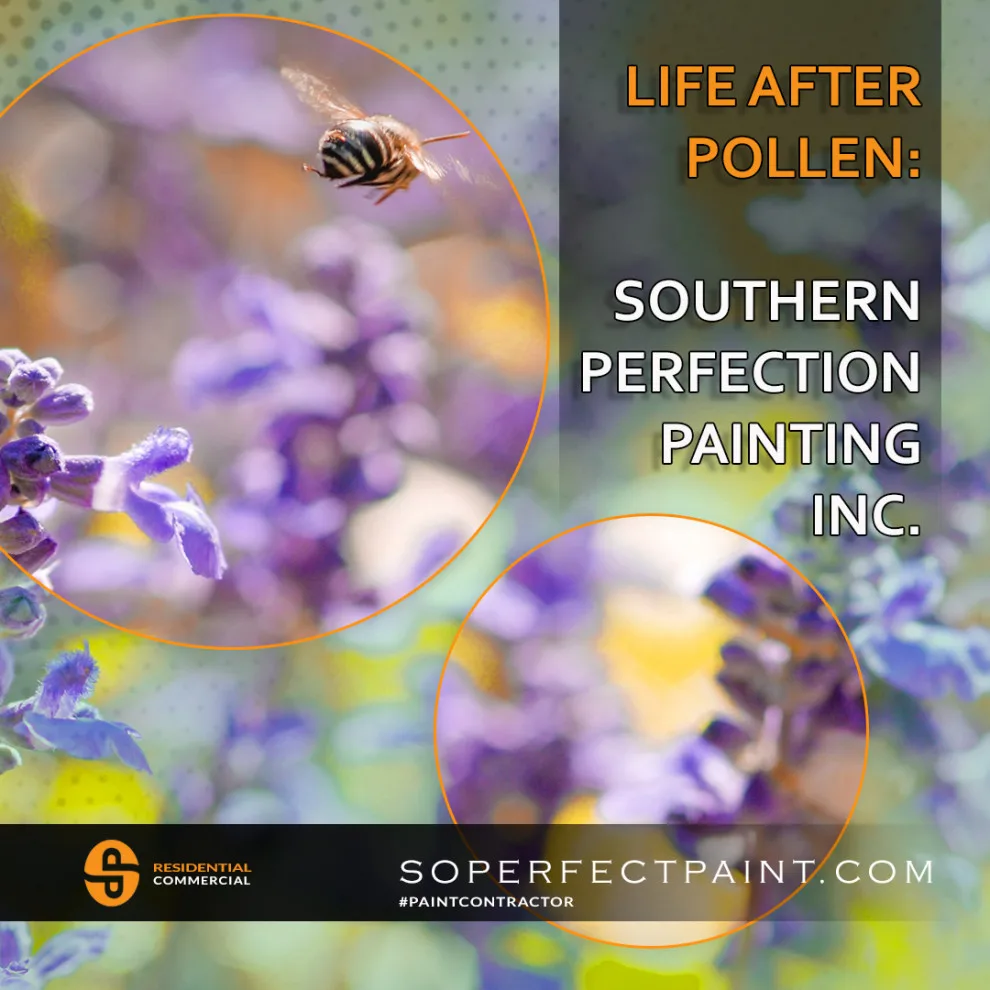 Advertising and Social Media by Southern Perfection Painting Inc. - Photo 75