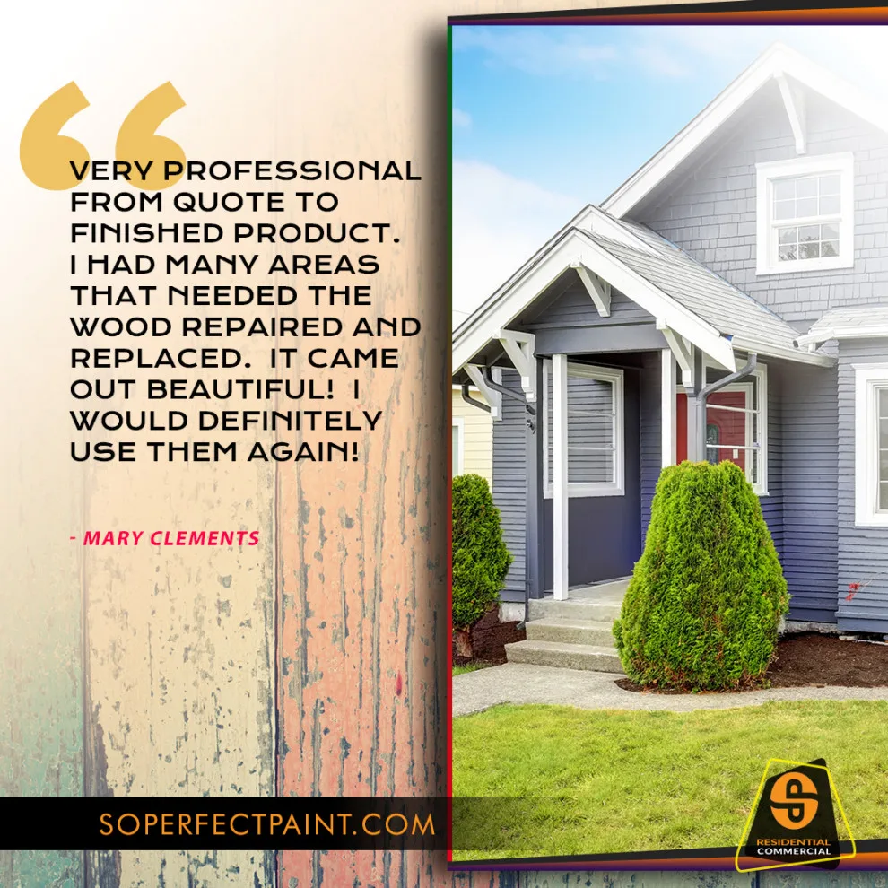 Advertising and Social Media by Southern Perfection Painting Inc. - Photo 112