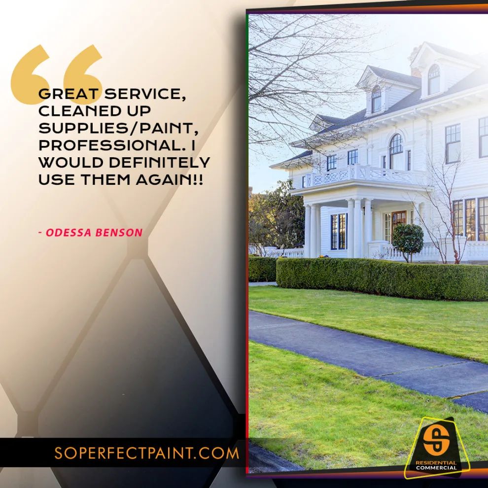 Advertising and Social Media by Southern Perfection Painting Inc. - Photo 84