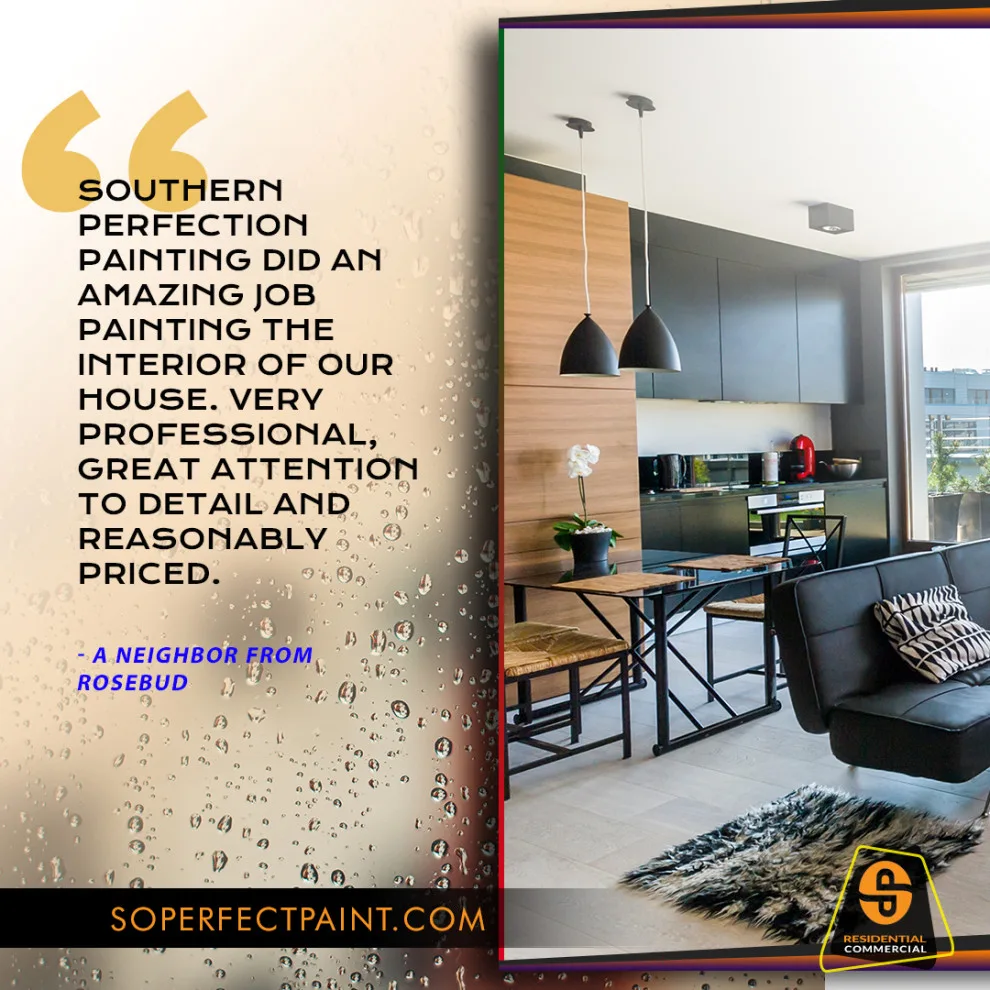 Advertising and Social Media by Southern Perfection Painting Inc. - Photo 146