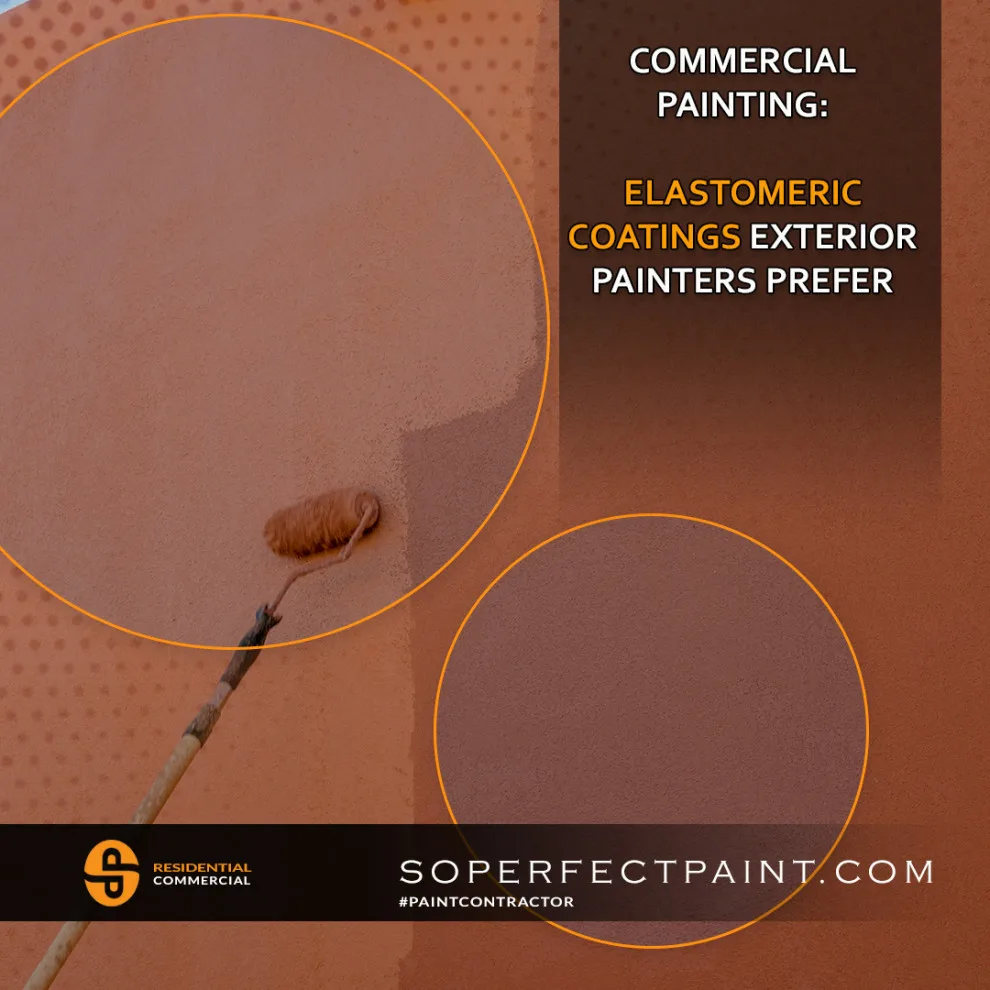 Advertising and Social Media by Southern Perfection Painting Inc. - Photo 110