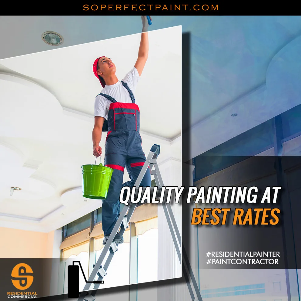 Advertising and Social Media by Southern Perfection Painting Inc. - Photo 124