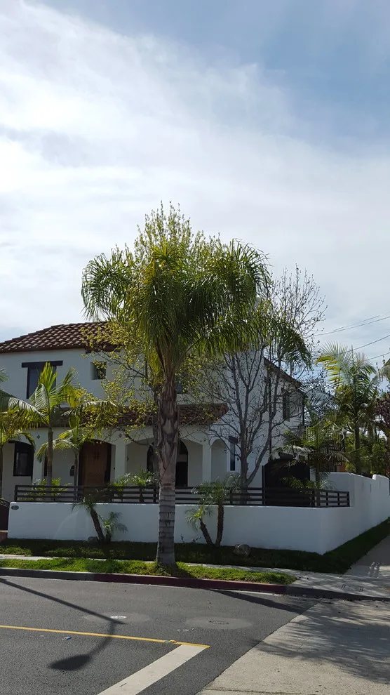 Eco-life Cleaning & Painting - Photo 6
