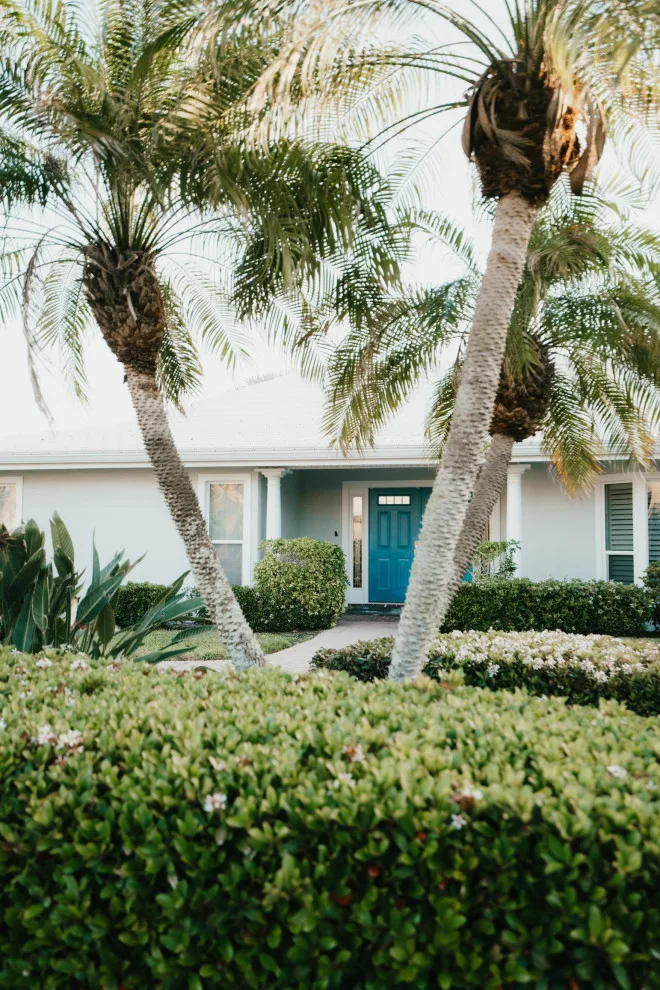 Sarasota Painters - Photo 12