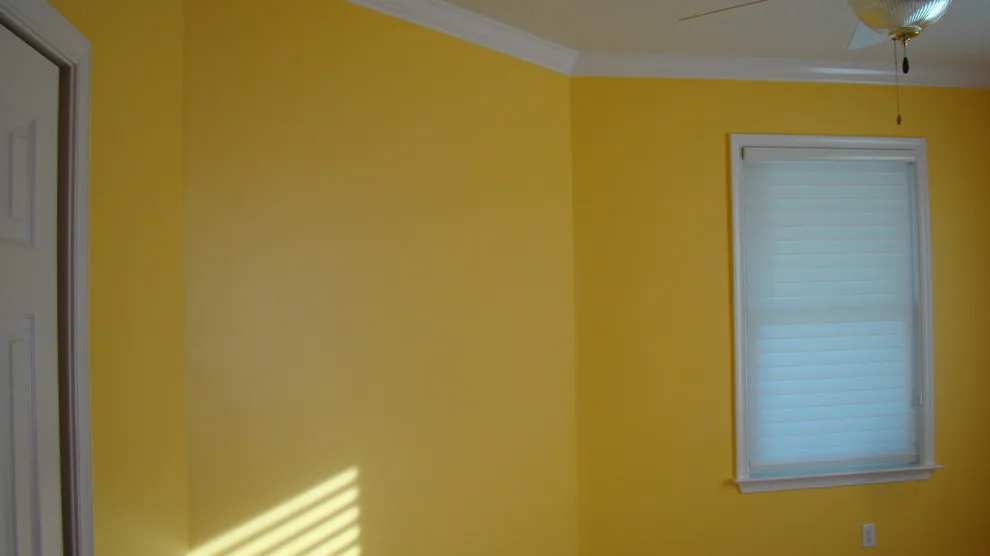 Delmarvalous Painting Inc - Photo 12