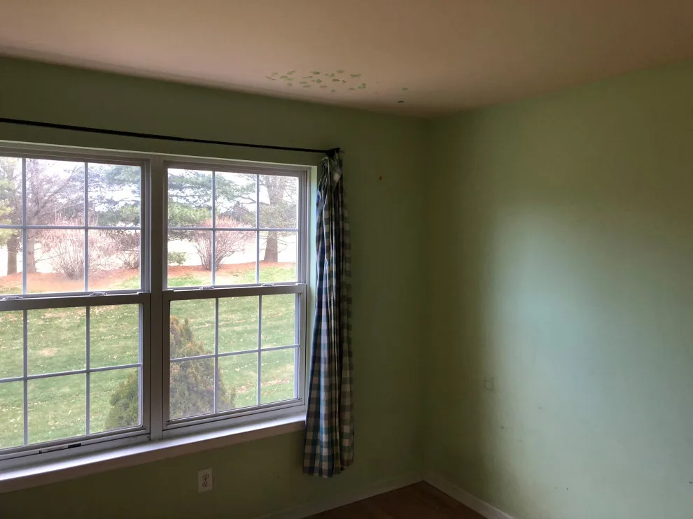 Uniform interior with highlights by Do It For You Painting - Photo 3