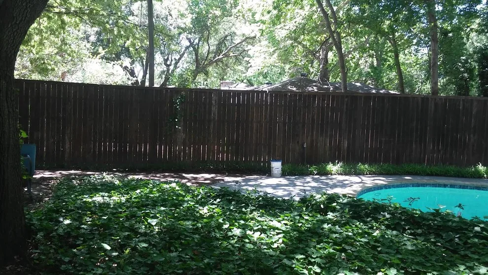 Mr. D's Residence and Boundary by Guy The Painter - Photo 5