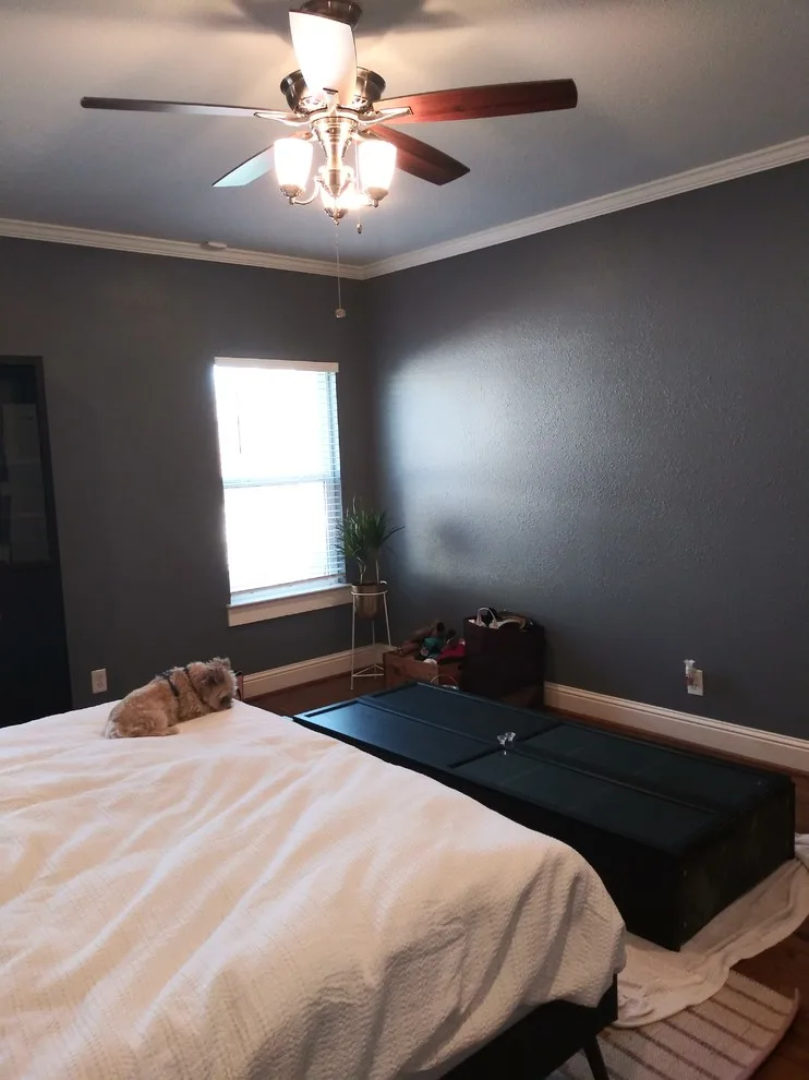 Mre E's Bedroom and Bathroom by Guy The Painter - Photo 3