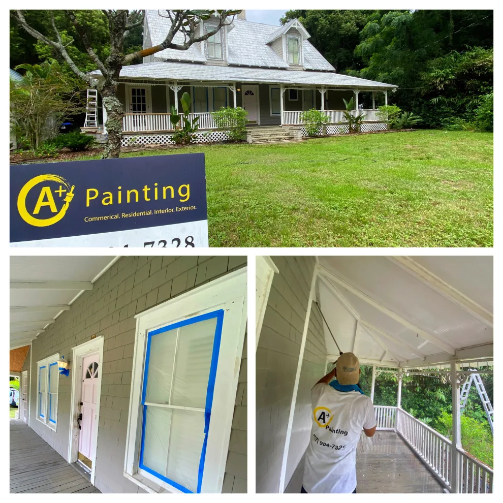 Mt Dora Outdoor Painting by A+ Painting - Photo 3
