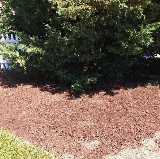 Dedicated Painters LLC - Photo 7
