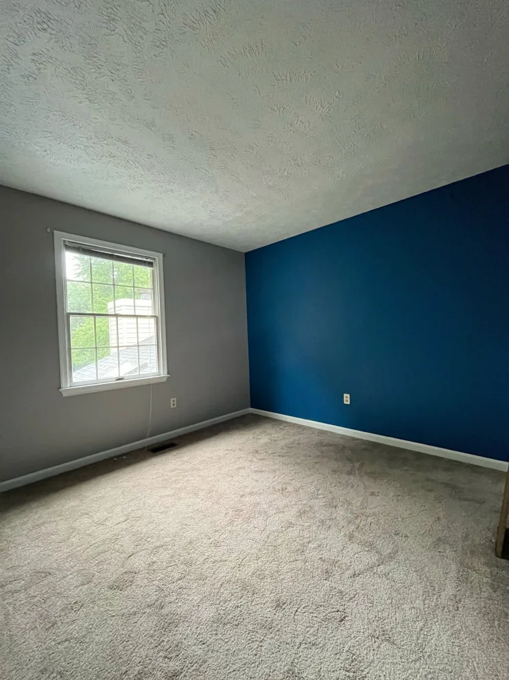 Color Up Painting LLC - Photo 11