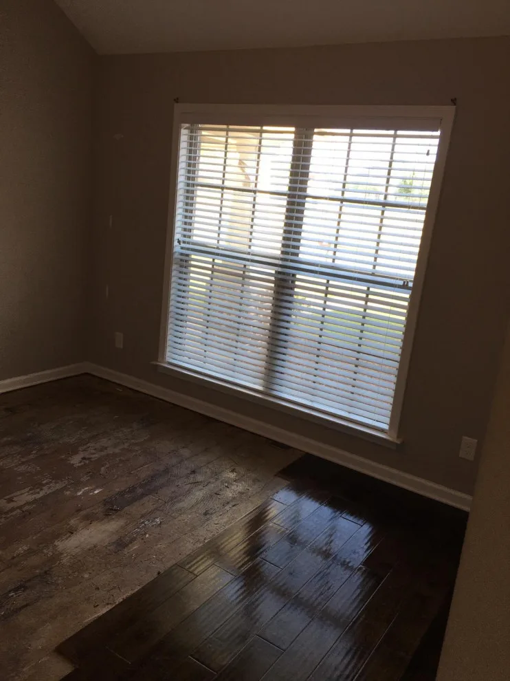 My Initiative by MR Lopez Painter LLC - Photo 42