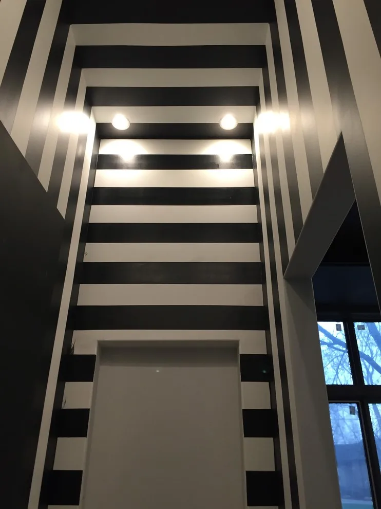NAPERVILLE INITIATIVE by Alc Construction - Photo 22