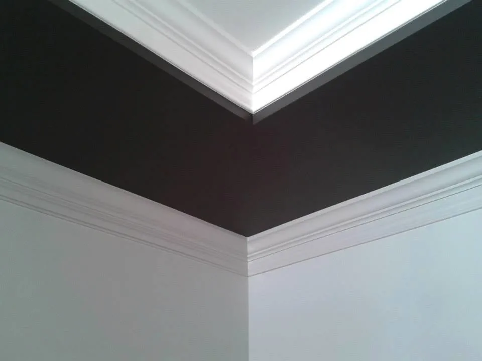 Ceiling Coating by D. Howard Painting - Photo 2