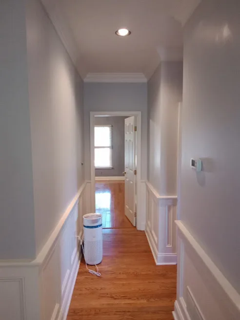Louie's Painting Service - Photo 11