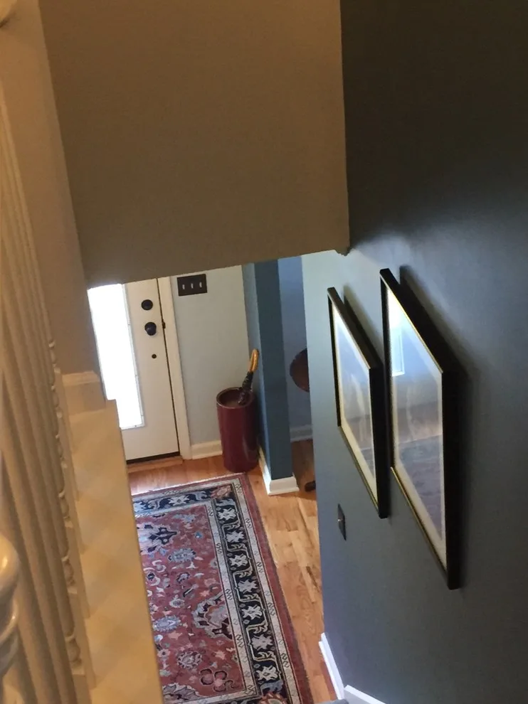Okemos, MI Colonial Transformation (Before & After) by Alison Alfredson Color & Design - Photo 6