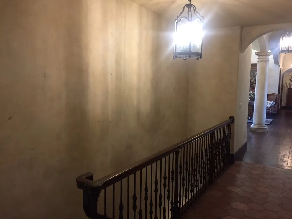 European stucco finish by Tom Henman Decorative Painting, LLC - Photo 4