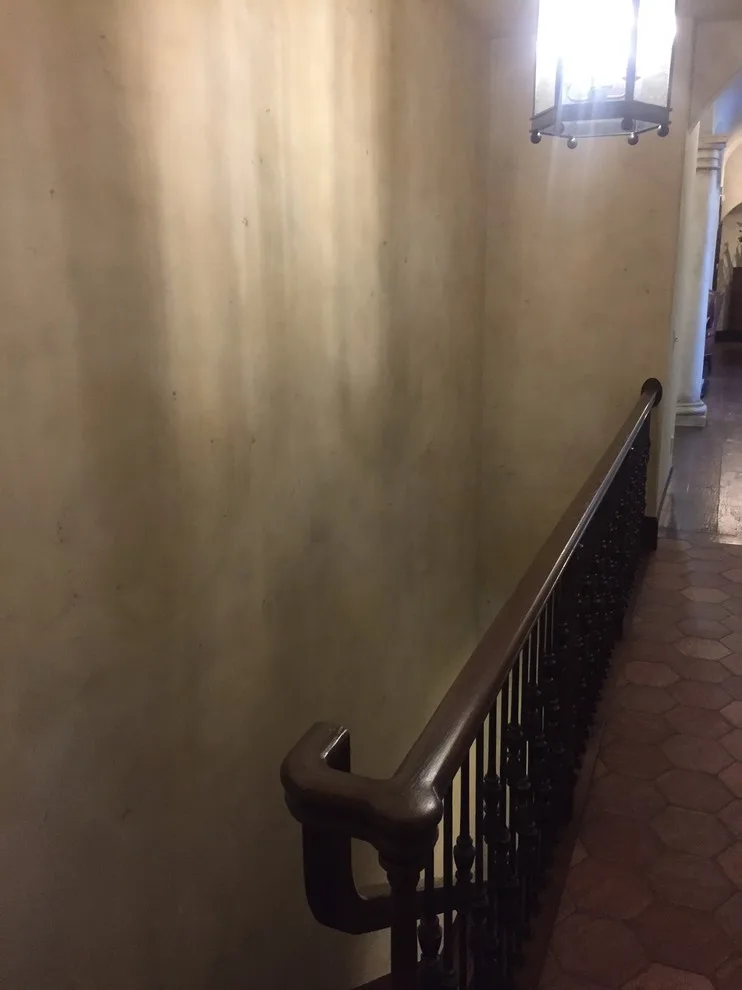 European stucco finish by Tom Henman Decorative Painting, LLC - Photo 7