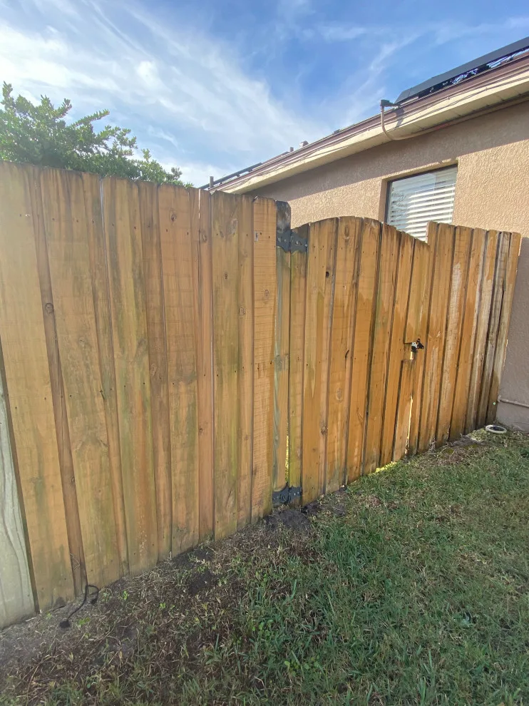 Orlando Fence Stain Solid by A+ Painting - Photo 5