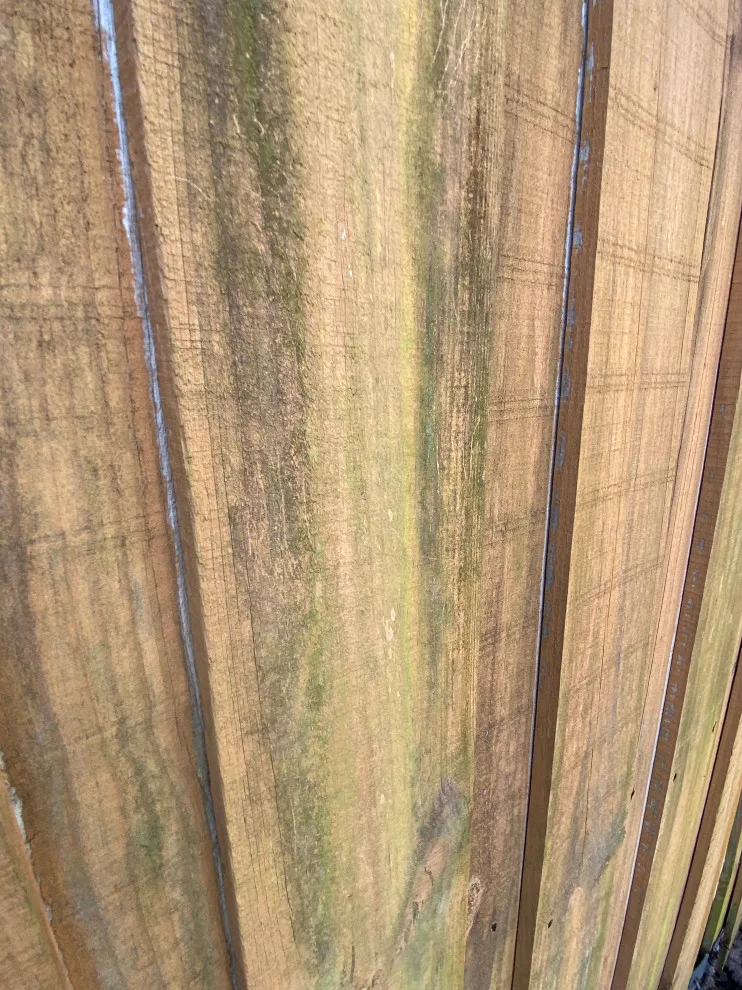 Orlando Fence Stain Solid by A+ Painting - Photo 8
