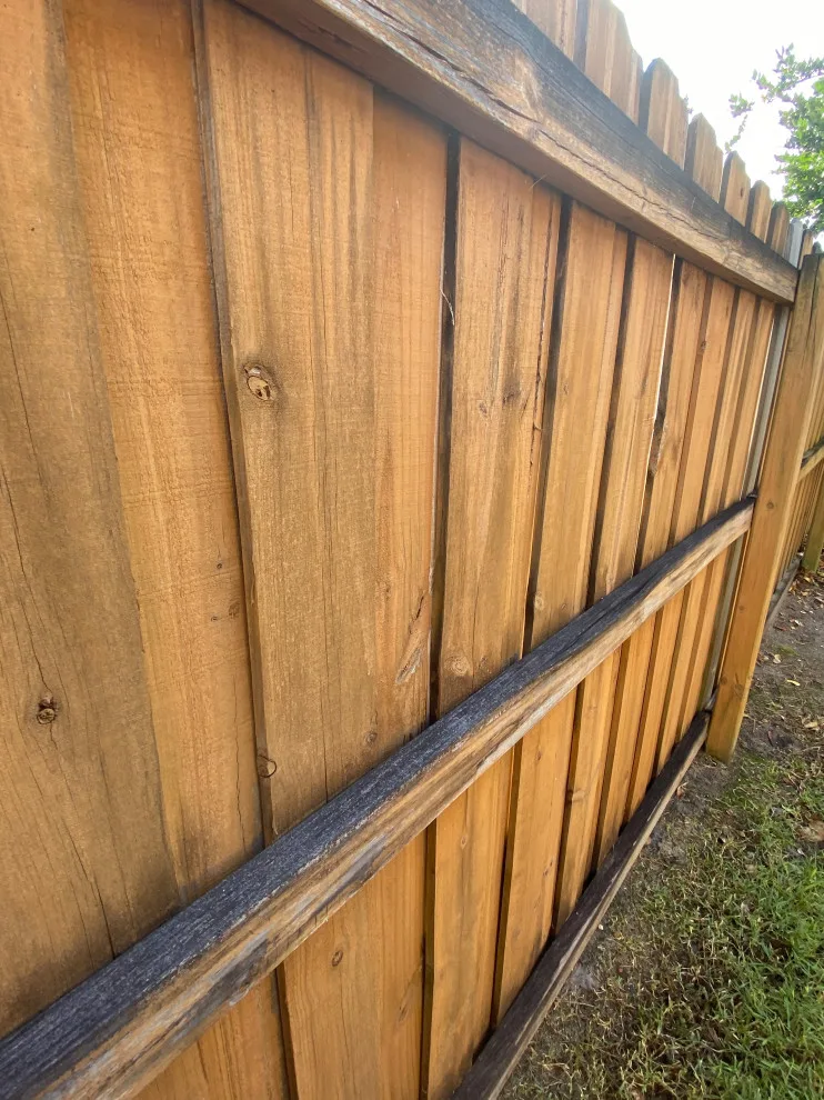 Orlando Fence Stain Solid by A+ Painting - Photo 35