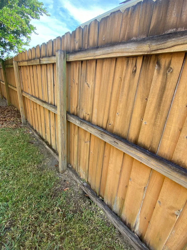Orlando Fence Stain Solid by A+ Painting - Photo 25