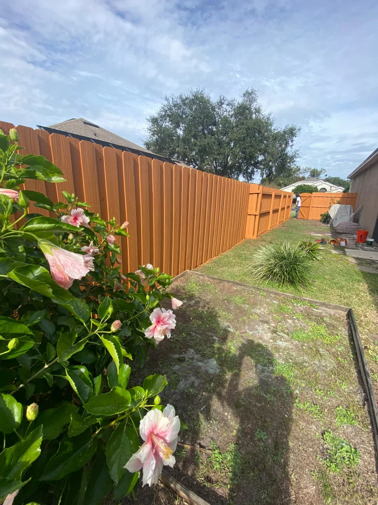 Orlando Fence Stain Solid by A+ Painting - Photo 11