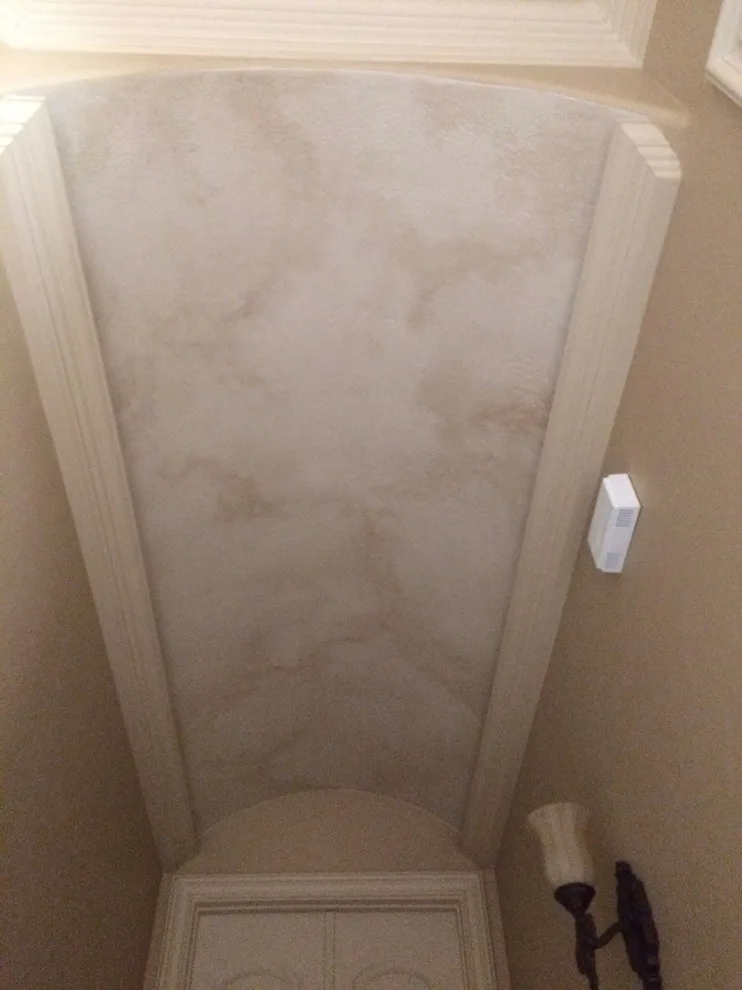 Tom Soltys Decorative Finishes - Photo 5