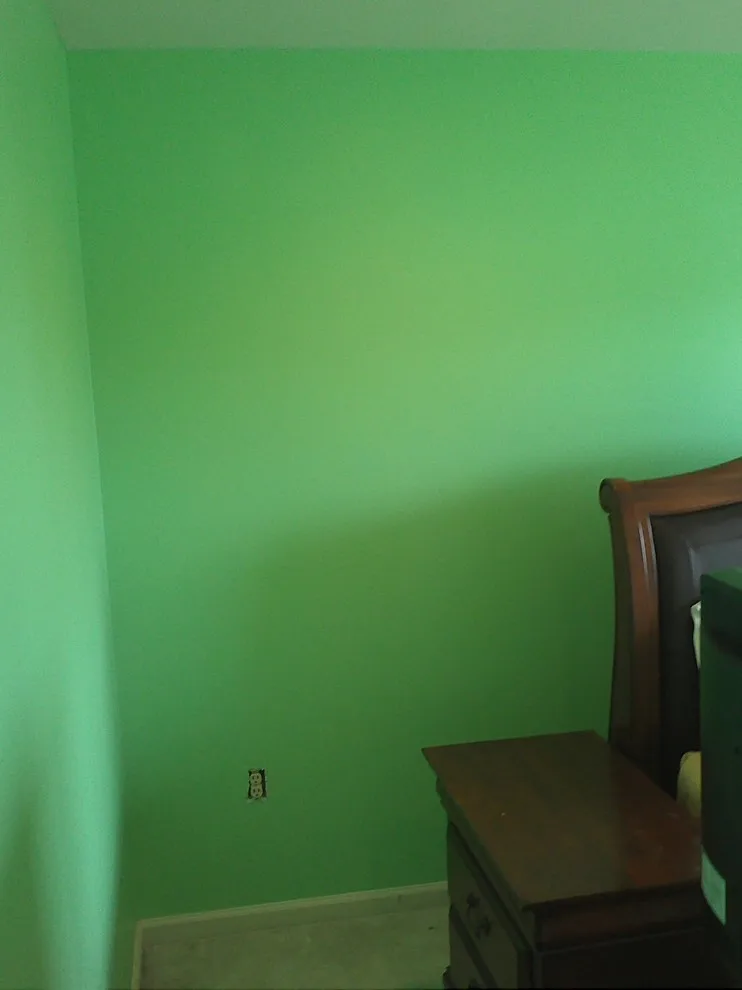 Alternative Initiatives by William Buckham Painting, LLC - Photo 6