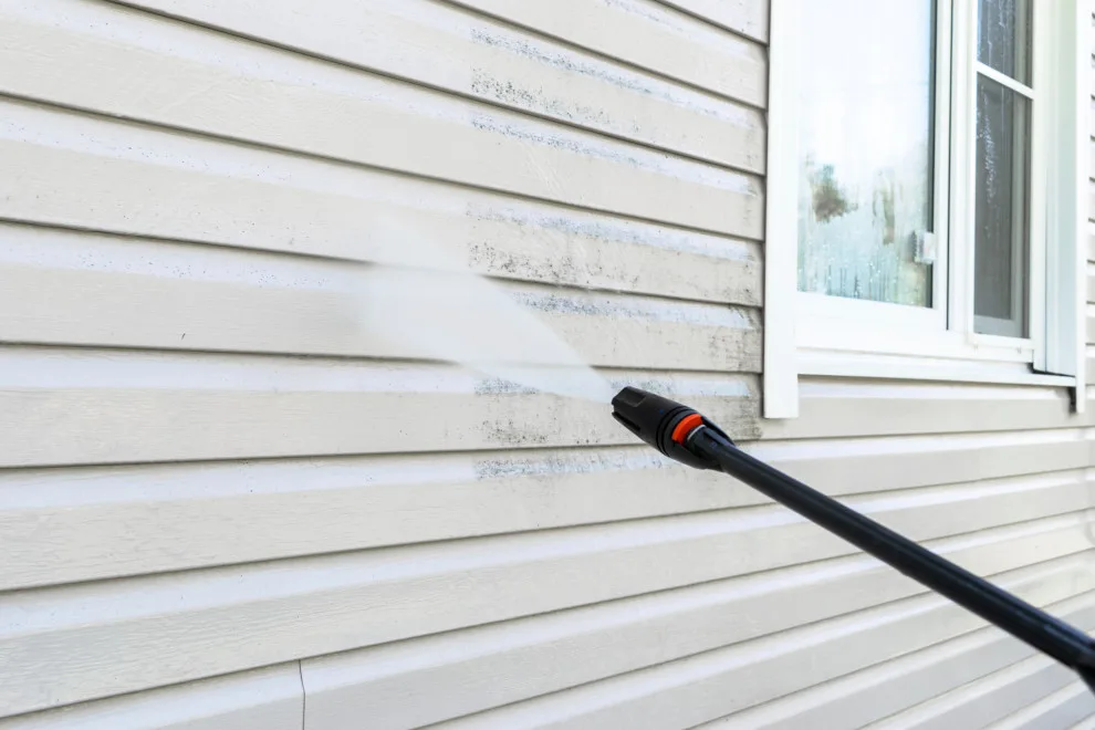 Painting Solutions We Offer by Rigo's Handy Services - Photo 4