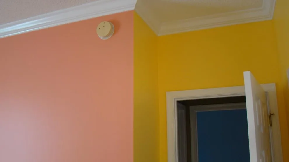 Our Efforts by Delmarvalous Painting Inc - Photo 5