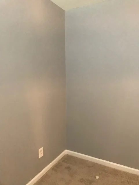 Bedroom Mural by 360 Painting Gastonia - Rock Hill - Photo 4