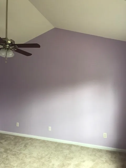 Bedroom Mural by 360 Painting Gastonia - Rock Hill - Photo 3