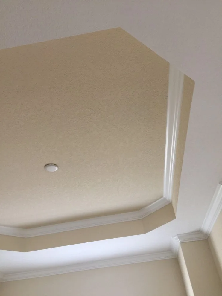 Overhead by FreshCoat Painters Sarasota/Manatee - Photo 4