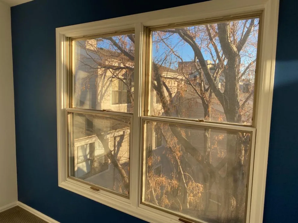 Cherry Creek Initiative by JF Decor | Wallpaper Installation - Photo 12