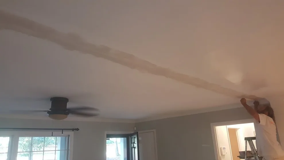 Scott Brown Professional Painting And Remodeling - Photo 14