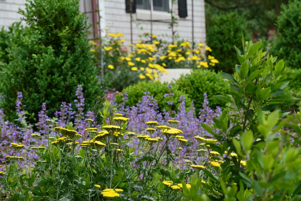 Commercial Landscape Install by GLDesigns - Photo 2