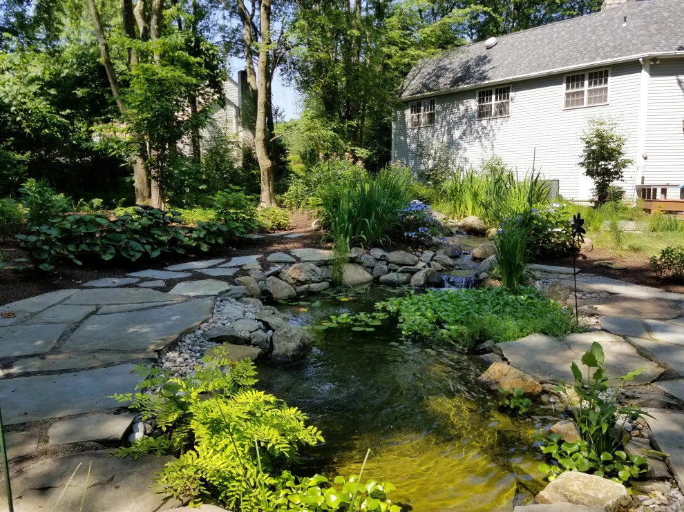 Forest Pondscape by GLDesigns - Photo 4
