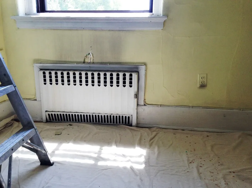 Rye Apartment Painting by D.A. Modern Touch Painting & Carpentry LLC - Photo 43