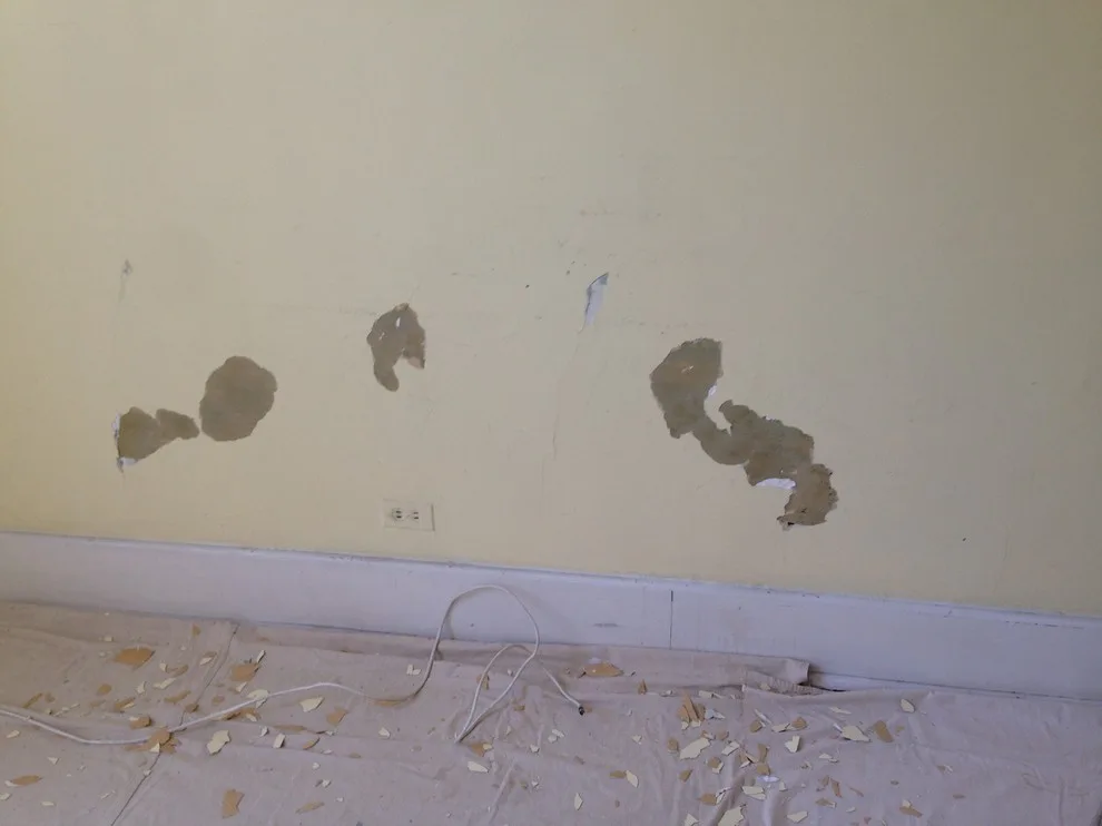 Rye Apartment Painting by D.A. Modern Touch Painting & Carpentry LLC - Photo 27