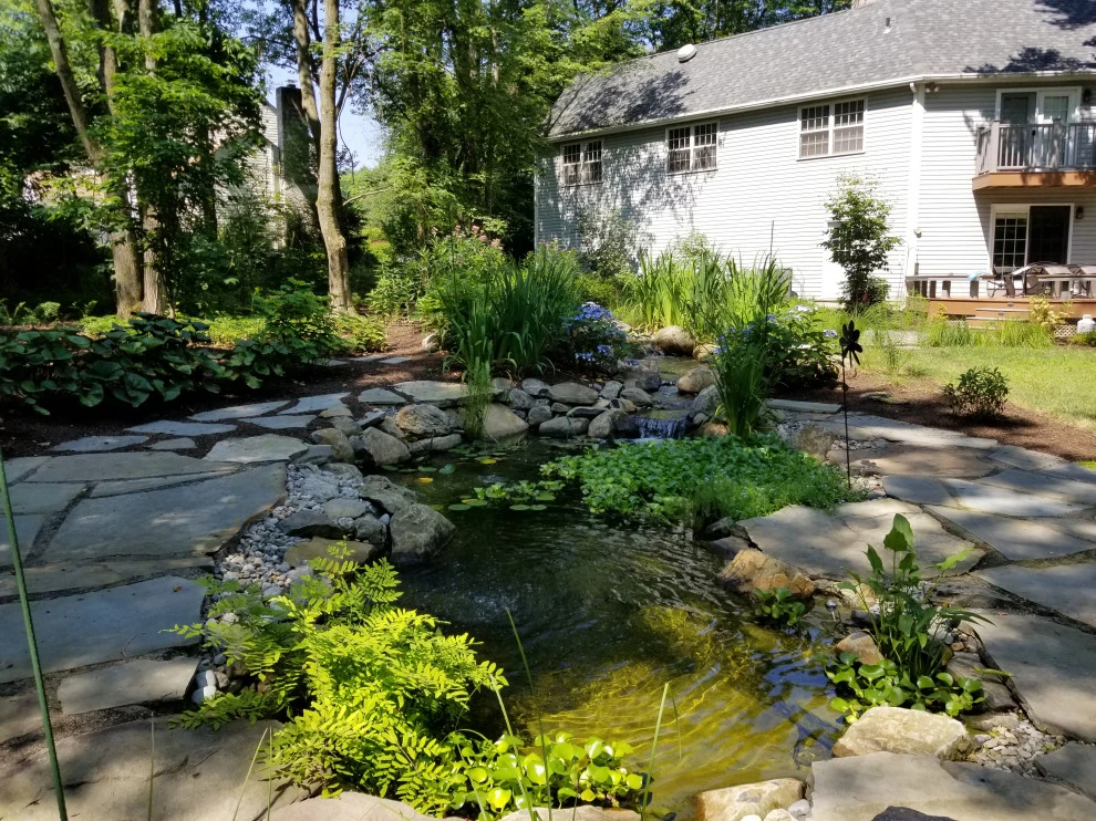 Forest Pondscape by GLDesigns - Photo 2