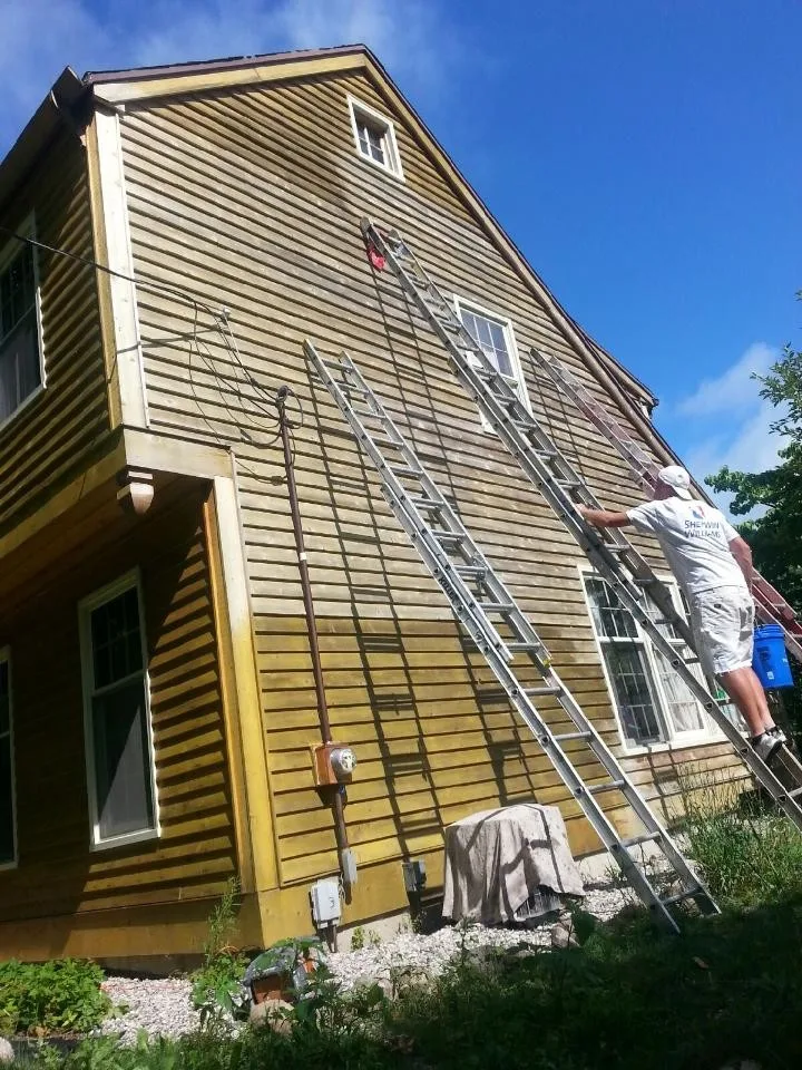 Outdoor Painting Initiative by Service Pro Painting & Improvement - Photo 56