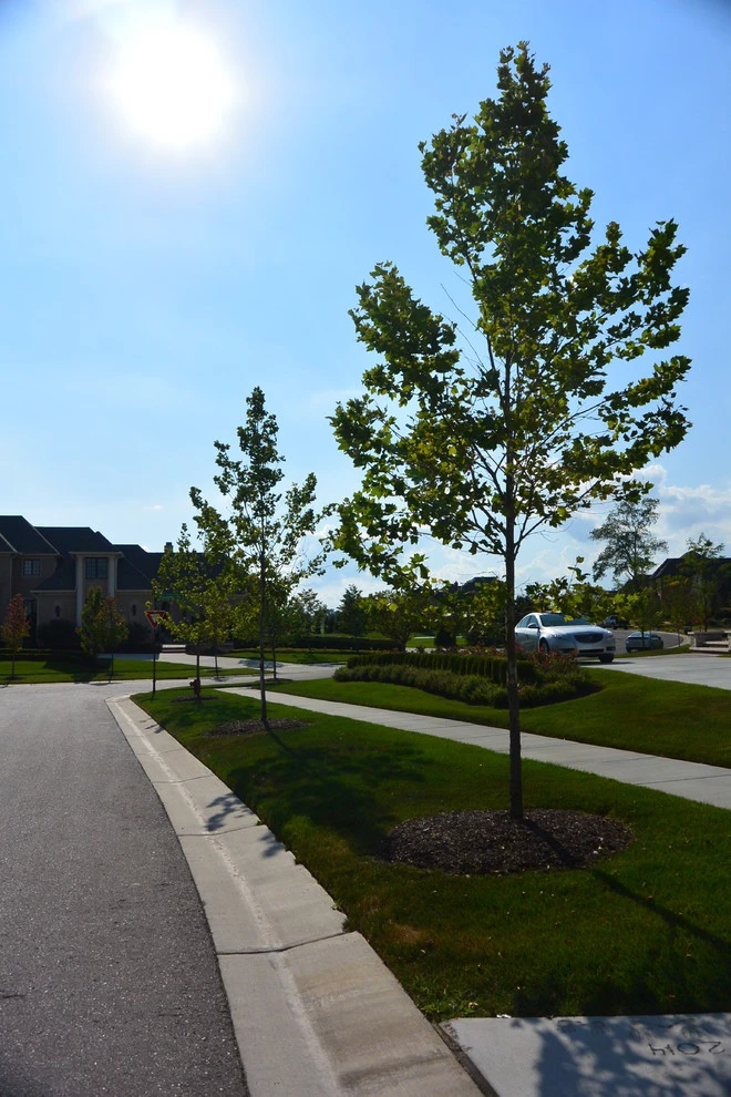 Residential Landscape Styles by Great Oaks Landscape Associates Inc. - Photo 36