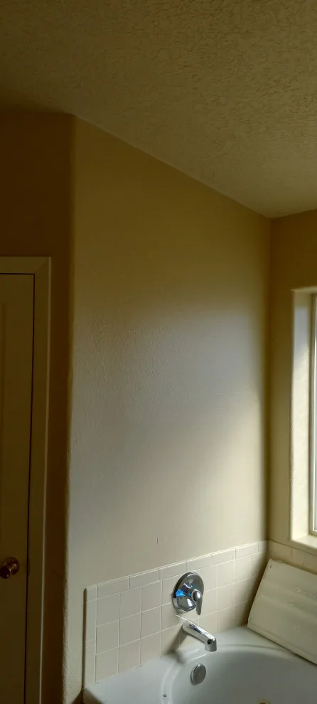 Property Repainting by Mitchell's Painting - Photo 14