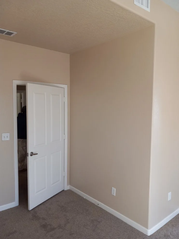 Property Repainting by Mitchell's Painting - Photo 50