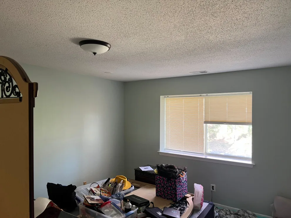 Comprehensive Home Painting Initiatives by Pats Home Services LLC - Photo 33