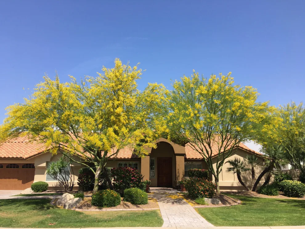 Peoria, Paradise West Community by Crash Of Rhinos Painting LLC - Photo 2