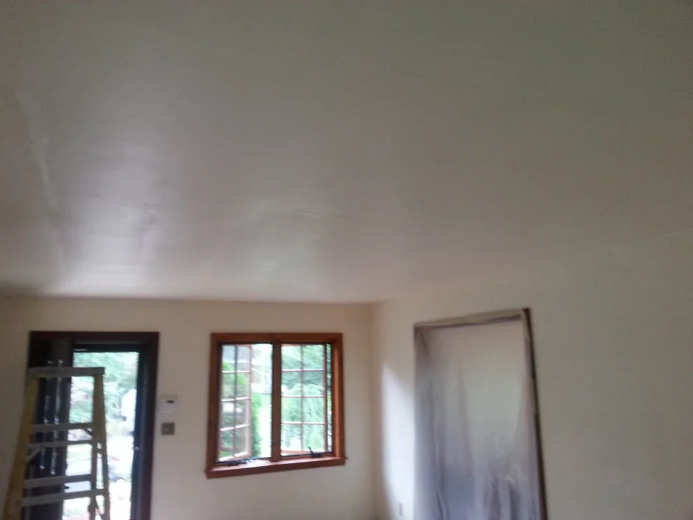 Ceiling Plastering and Drywall Renovation by Sandco Construction & Landscaping - Photo 3